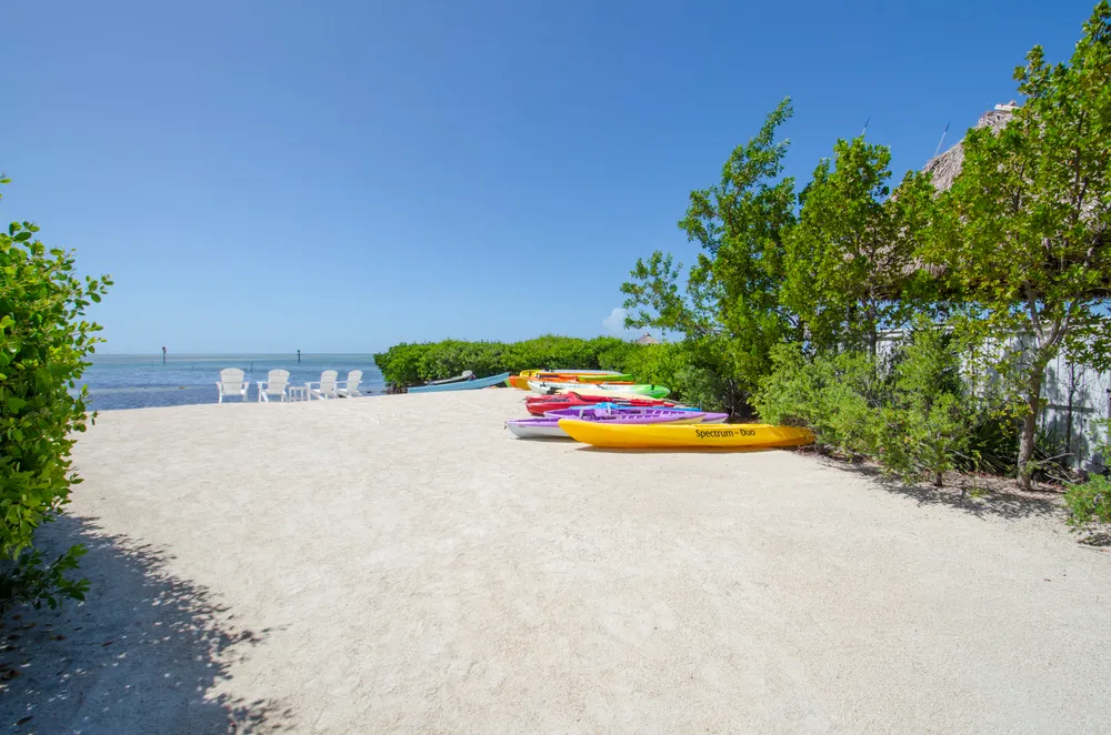 Florida Keys Eco-Tours